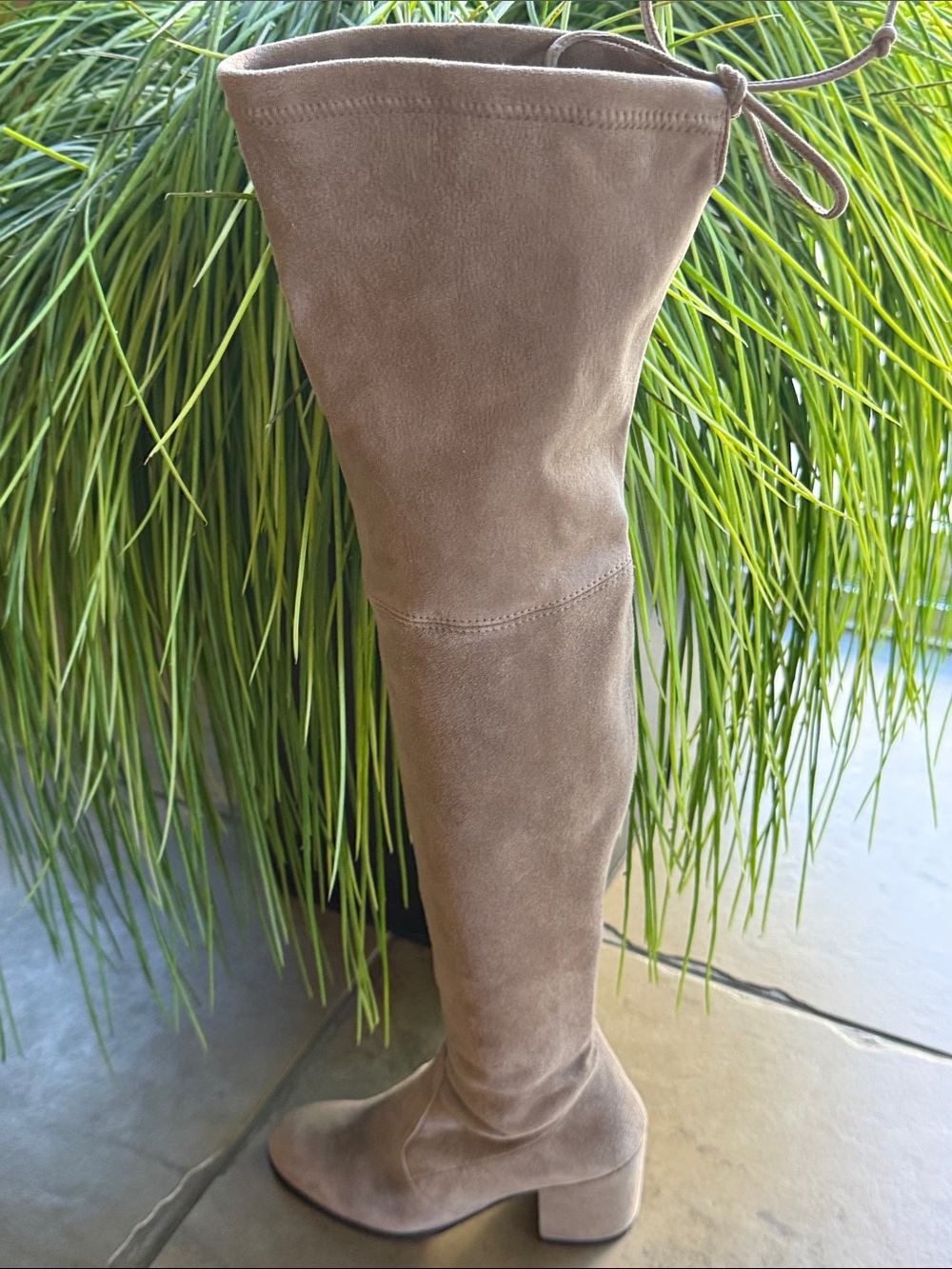 Stewart Weitzman Over-the-Knee Taupe Suede Block Heel Boot size 5